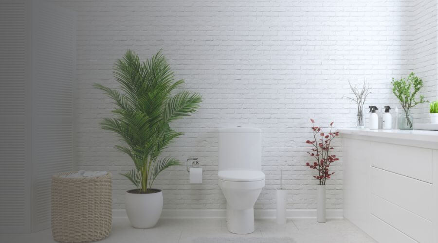 Why choose Fremont Portable Toilets Rental for construction toilets in Fremont,ca